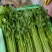 山东聊城产地精品香芹一手货源芹菜对接电商市场商超