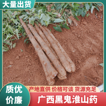 《广西淮山药》贺州黑鬼淮山药/广西山药/精品山药/便宜