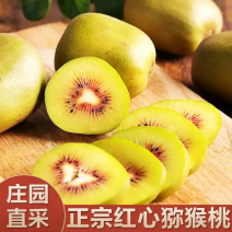 湖北猕猴桃基地一手货源对接电商市场商超可视频