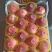 蒙阴蜜桃原产地，对接市场批发商超电商，产地直供