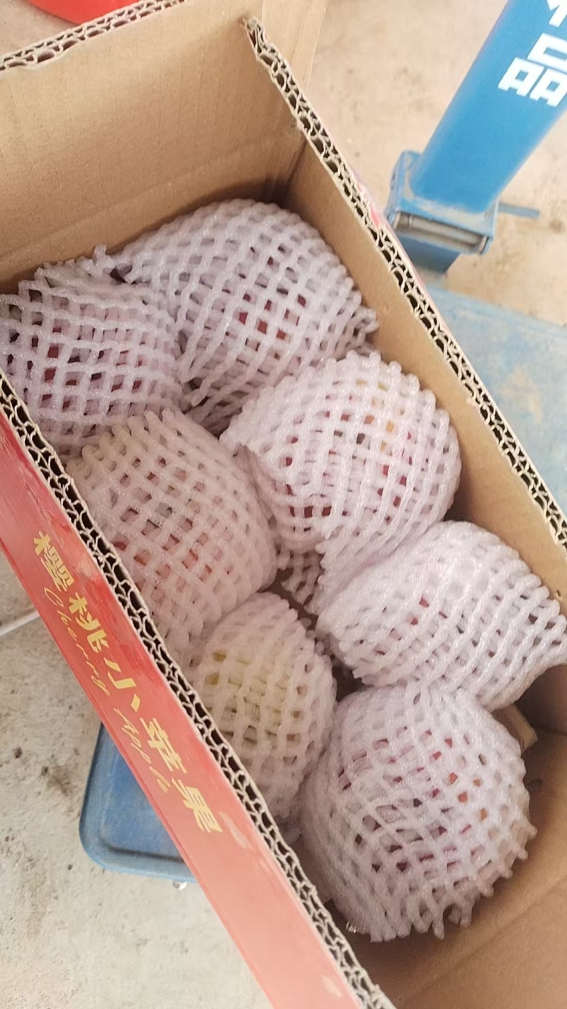 四川凉山嘎啦苹果大量上市/精品嘎啦苹果一手货源量大优惠