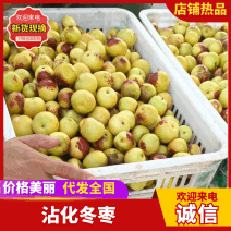 《大荔冬枣》陕西大荔县冬枣/抖音快手多多对接各大电商