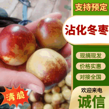 山西冬枣/庙上冬枣/抖音/快手/多多/日发3万单电商平台