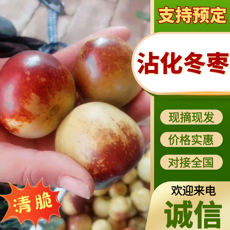 山西冬枣/庙上冬枣/抖音/快手/多多/日发3万单电商平台