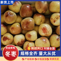 电商货一件代发大棚鲜枣对接商超，批发档口，诚信代办