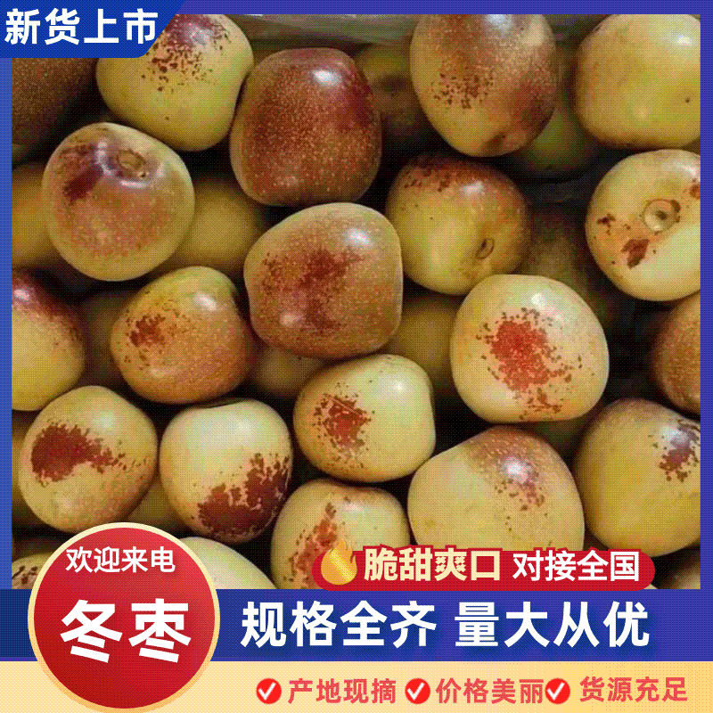 电商货一件代发大棚鲜枣对接商超，批发档口，诚信代办