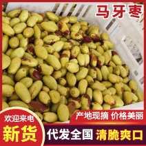 山西马牙枣/山西子弹头枣/运城鲜枣/日供应2万斤特惠便宜