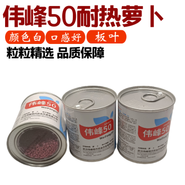 夏秋专用50天早熟耐热板叶白萝卜种基地高品质罐装伟峰50