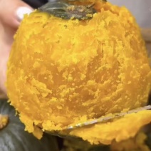 山东精品南瓜惠和一号贝贝南瓜/量大价优/可视频看货/