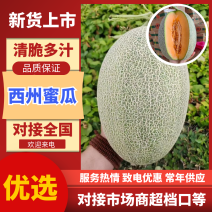 内蒙哈密瓜额济纳旗西州蜜瓜脆甜多汁基地直供保证品质