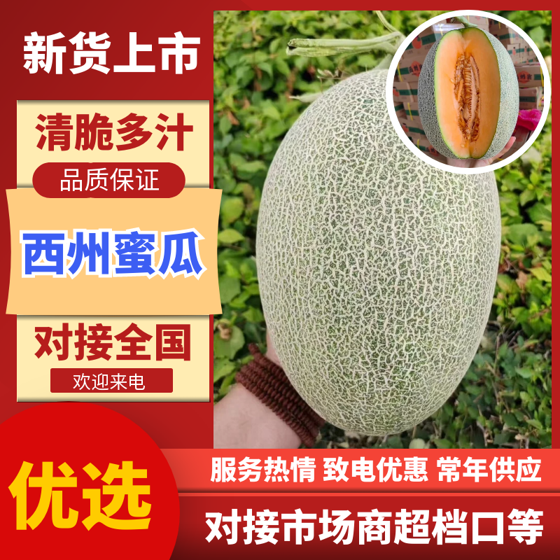 内蒙哈密瓜额济纳旗西州蜜瓜脆甜多汁基地直供保证品质
