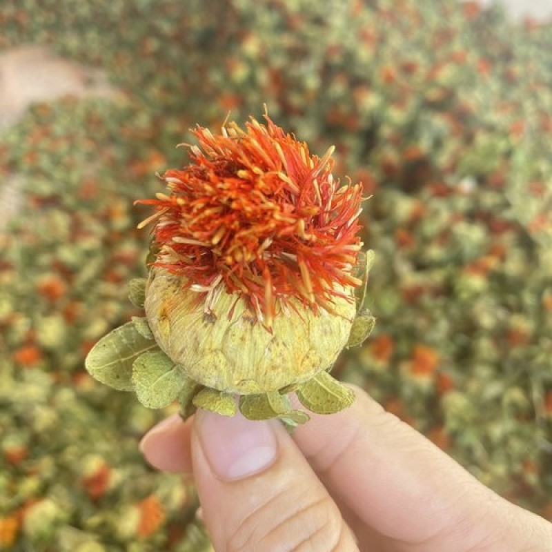 红花果整朵西藏特级无硫中药材红花果草红花果泡