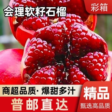 突尼斯软籽石榴/会理石榴%一件代发，量大从优