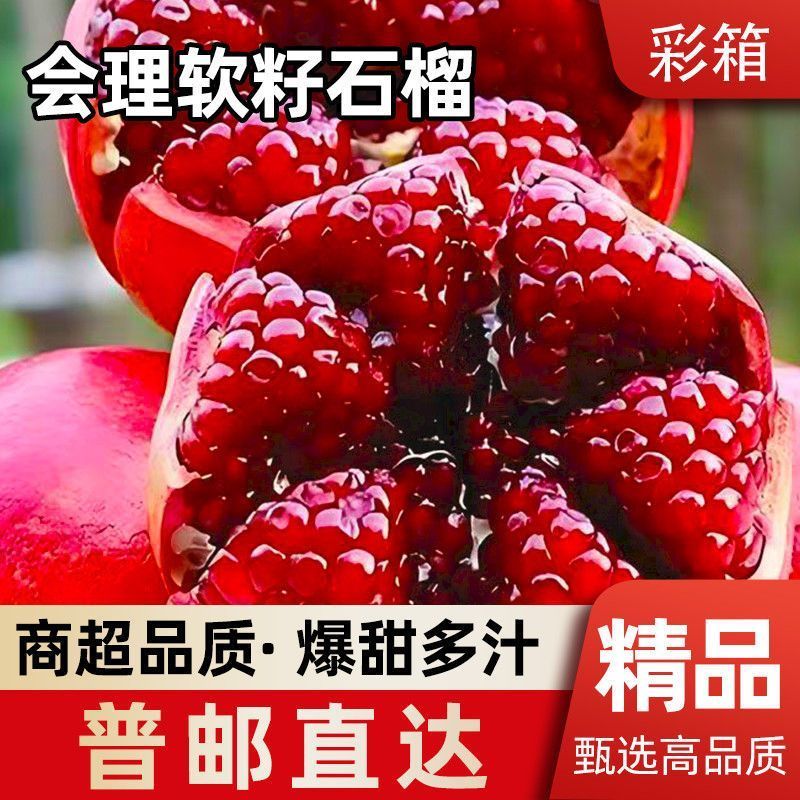 突尼斯软籽石榴/会理石榴%一件代发，量大从优