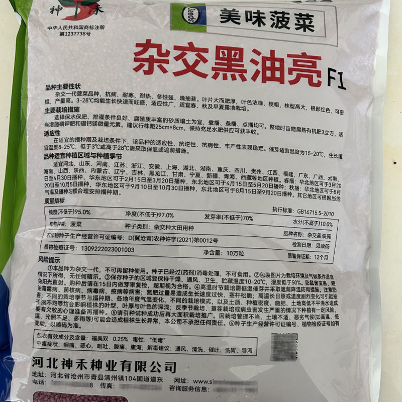 杂交黑油亮耐寒菠菜种子耐抽薹半圆黑叶厚菠菜高产
