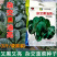 杂交黑油亮耐寒菠菜种子耐抽薹半圆黑叶厚菠菜高产