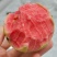 精品西瓜红芭乐大量上市，全国发货货源充足量大从优致电联系