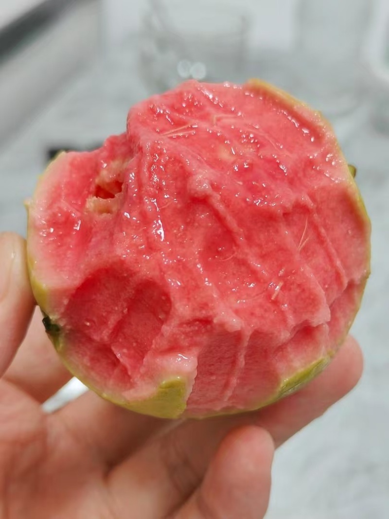 精品西瓜红芭乐大量上市，全国发货货源充足量大从优致电联系