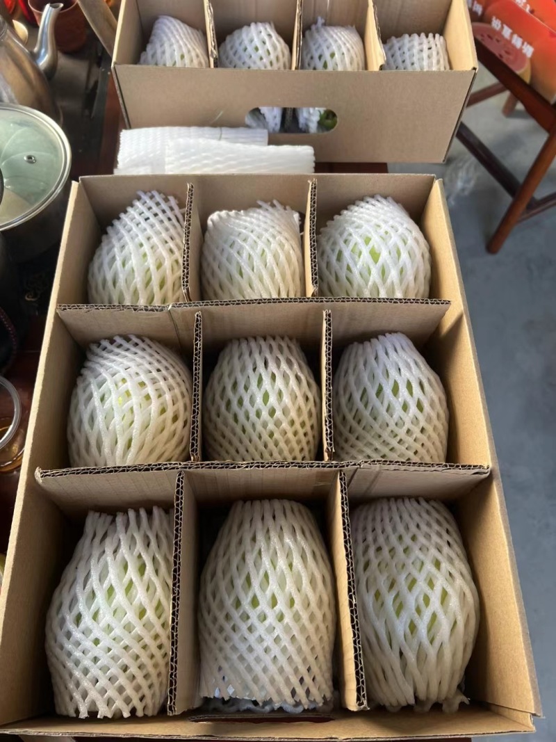 精品西瓜红芭乐大量上市，全国发货货源充足量大从优致电联系