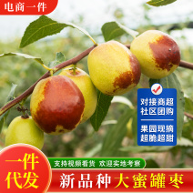 山东大蜜罐鲜枣电商一件代发对接全平台对接各大商超