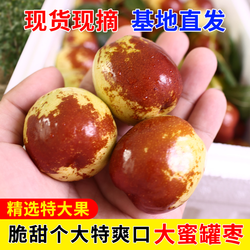 山东大蜜罐鲜枣电商一件代发对接全平台对接各大商超