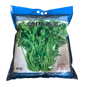 美国耐热香菜种子耐热43°C抗病基地高产芫荽种子