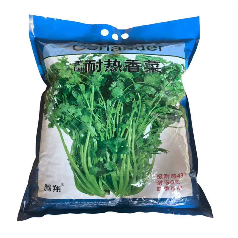 美国耐热香菜种子耐热43°C抗病基地高产芫荽种子