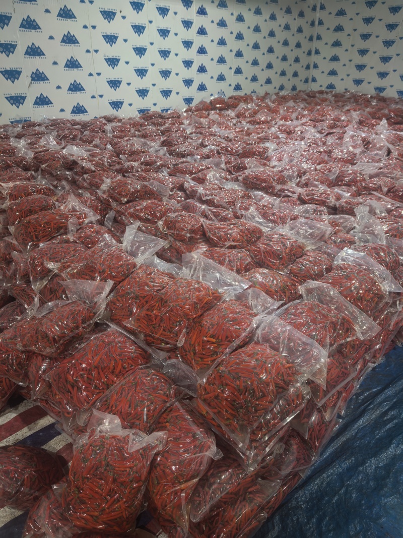 泡椒腌制菜泡小米椒厂家直供资质齐全可以装箱装袋装瓶常年有货