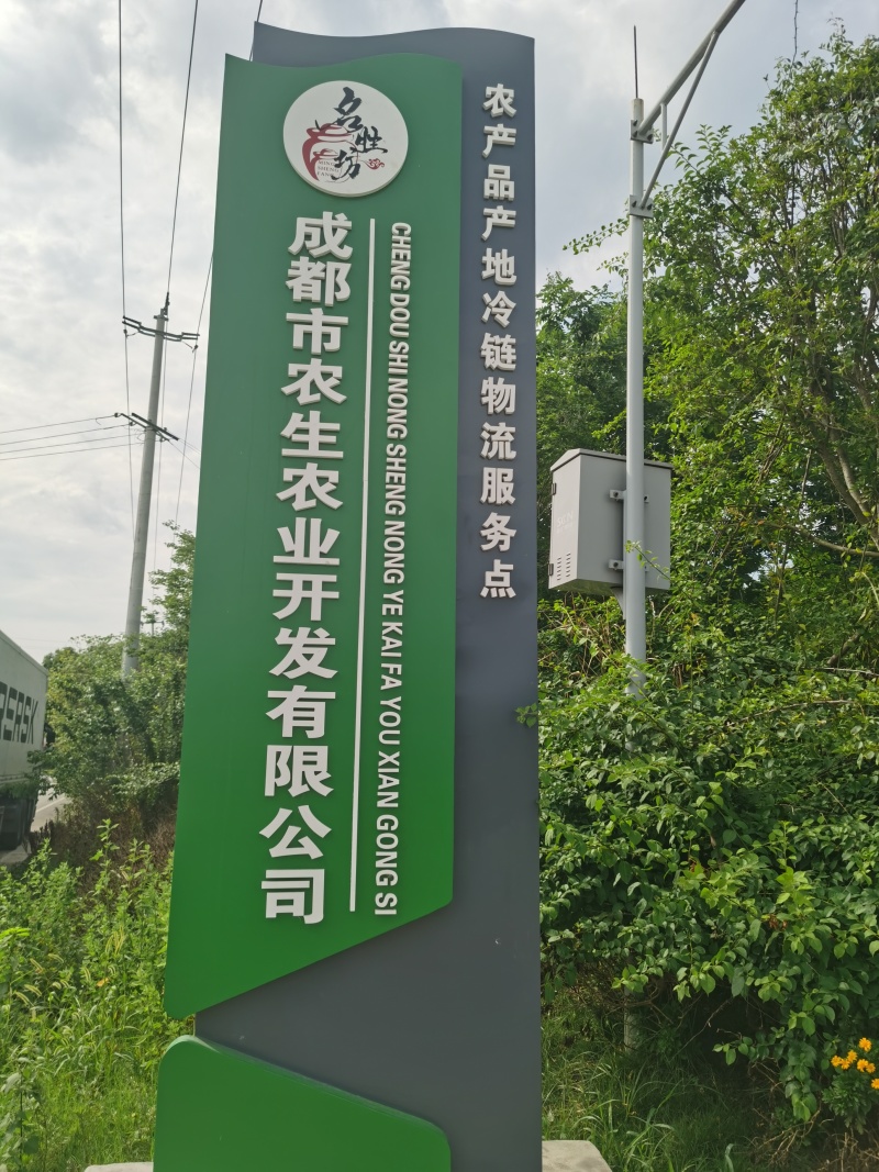 泡椒腌制菜泡小米椒厂家直供资质齐全可以装箱装袋装瓶常年有货