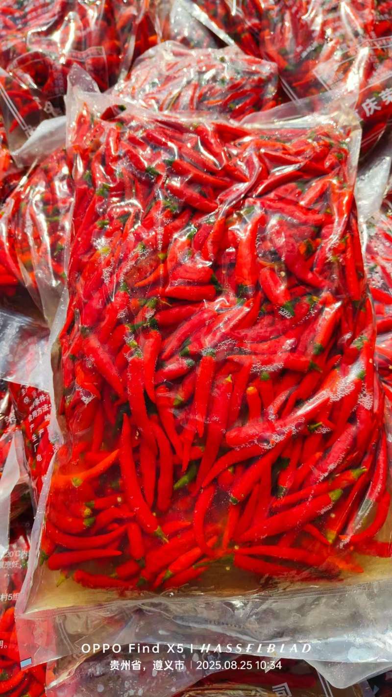 泡椒腌制菜泡小米椒厂家直供资质齐全可以装箱装袋装瓶常年有货