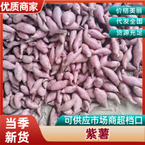 湖北紫薯丨精品紫罗兰丨产地大量供货丨可发全国欢迎来