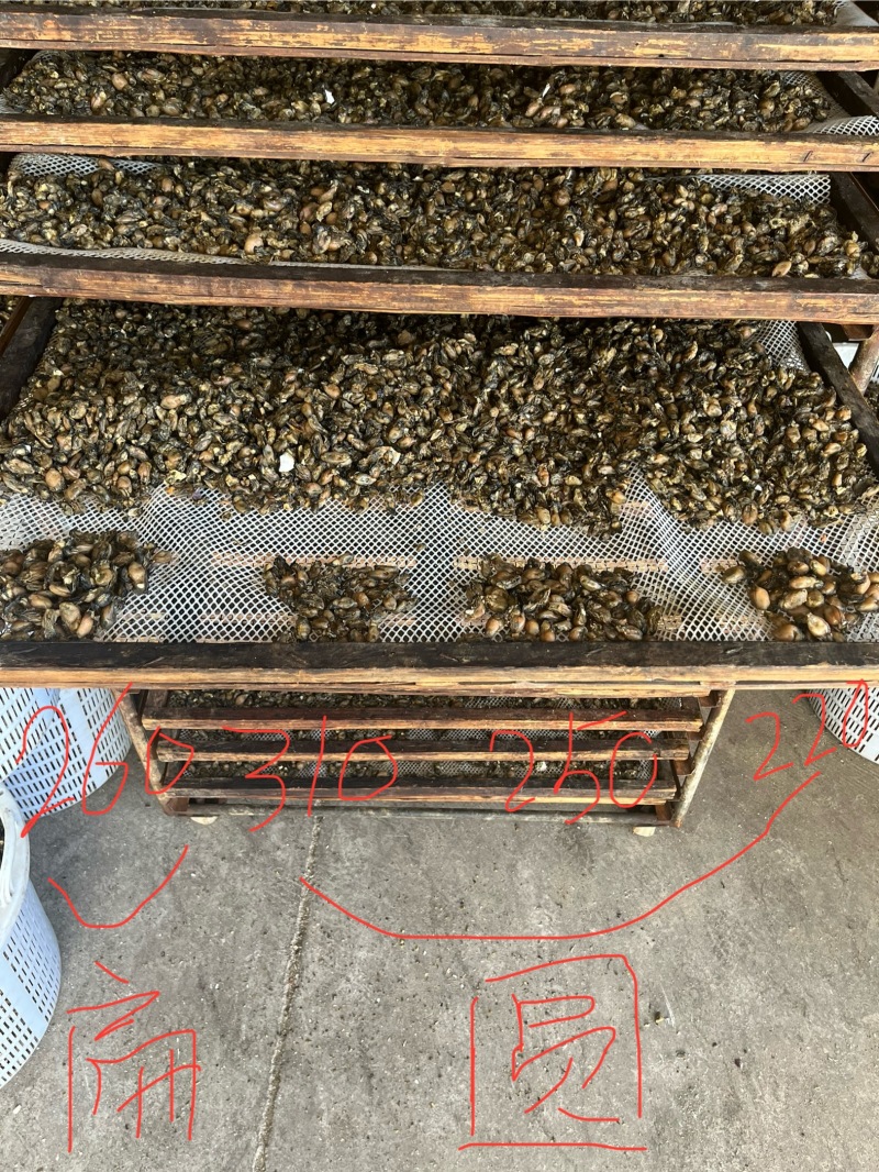 蚝干蚝豉海蛎干牡蛎干海鲜干货可电联详谈