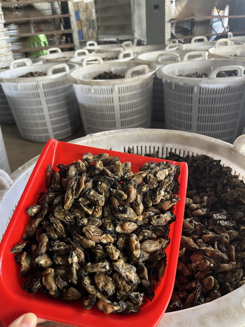 蚝干蚝豉海蛎干牡蛎干海鲜干货可电联详谈