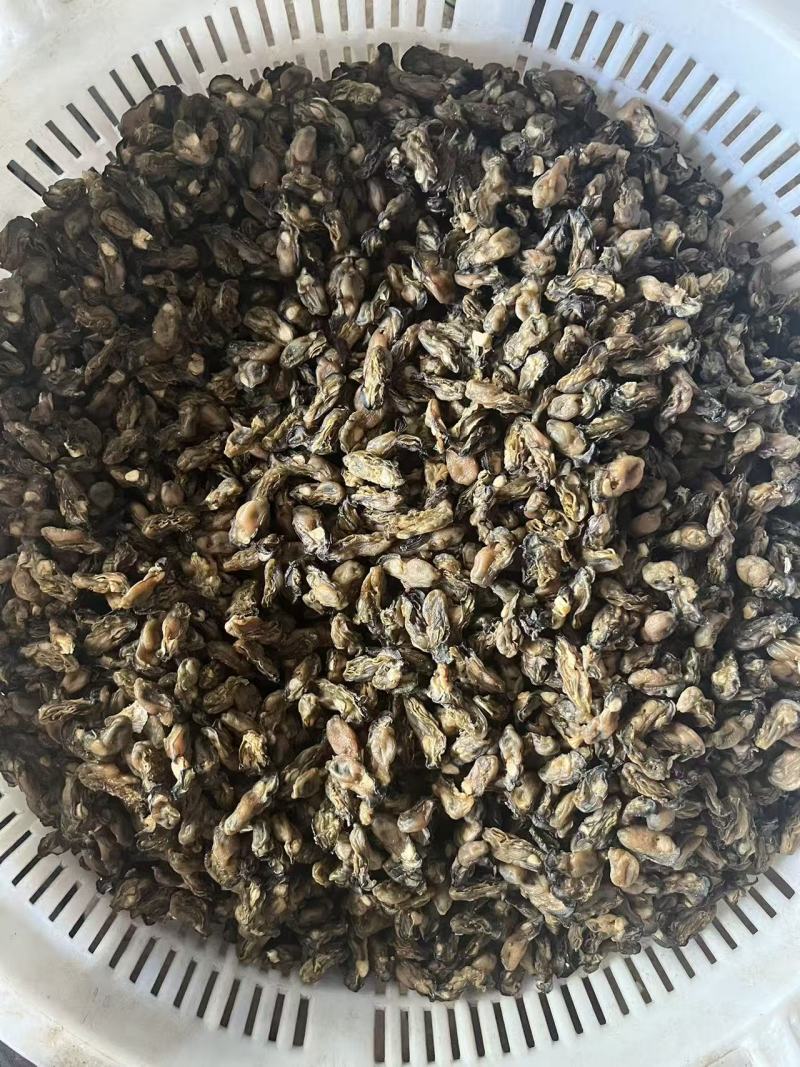 蚝干蚝豉海蛎干牡蛎干海鲜干货可电联详谈