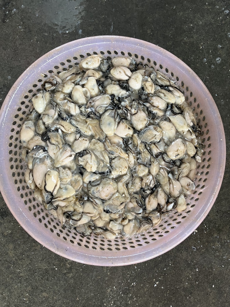 蚝肉海蛎肉生蚝肉牡蛎肉蚵仔煎蚝蛋烧