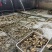 生蚝海蛎牡蛎泥蚝净化活鲜诚信经营