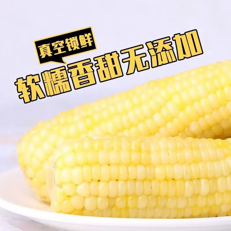东北黄、白糯玉米厂家直发保质保量发货全国