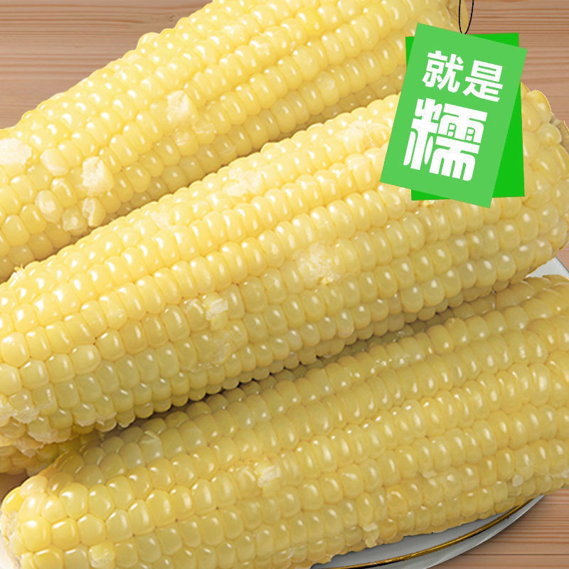 东北黄、白糯玉米厂家直发保质保量发货全国