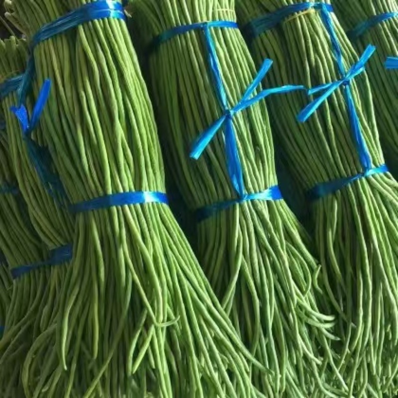 河南长豆角青条豆角豇豆对接电商市场商超