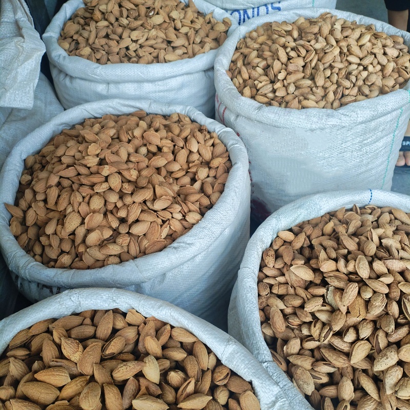 新疆巴达木薄皮手剥原味新货坚果无加工生巴旦木包邮批发