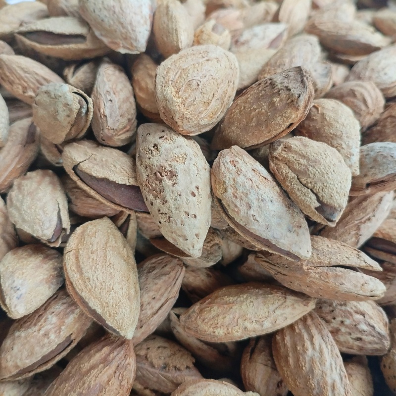 新疆巴达木薄皮手剥原味新货坚果无加工生巴旦木包邮批发