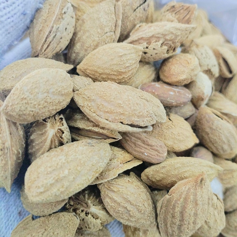 新疆巴达木薄皮手剥原味新货坚果无加工生巴旦木包邮批发