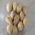 新疆巴达木薄皮手剥原味新货坚果无加工生巴旦木包邮批发