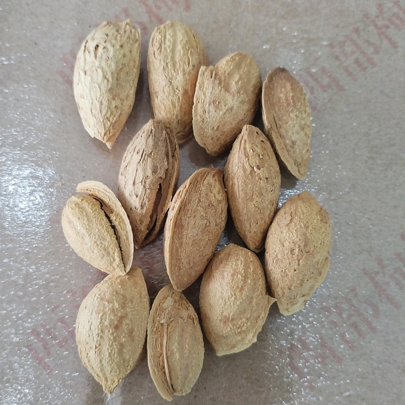 新疆巴达木薄皮手剥原味新货坚果无加工生巴旦木包邮批发