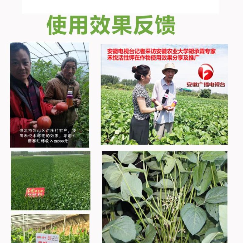 征途一号含腐植酸水溶肥厂家直销量大质优价格优惠