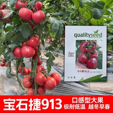 宝石捷913番茄种子高圆大果亮粉早春越冬温室拱棚耐低温