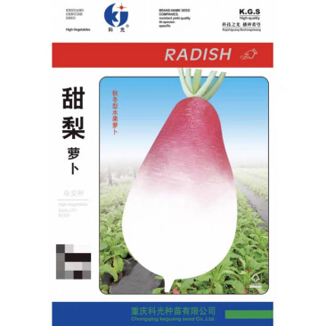 甜梨萝卜青种子水果萝卜种粉白甜脆秋季四季蔬菜农家菜种子