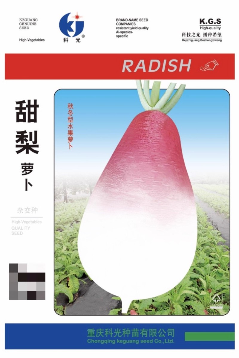 甜梨萝卜青种子水果萝卜种粉白甜脆秋季四季蔬菜农家菜种子