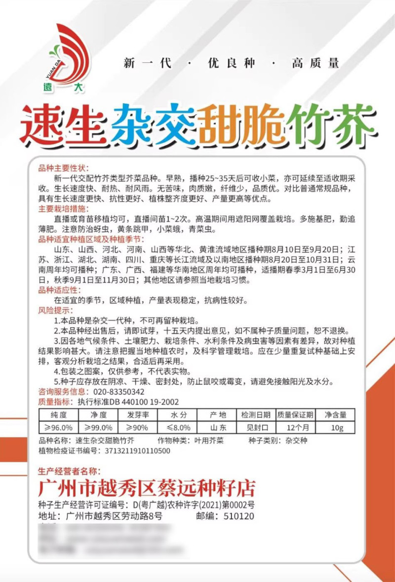 速生甜脆竹芥种孑叶芥蔬菜种子四季春秋冬季青菜种菜种籽水芥