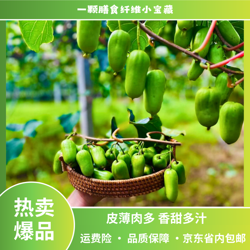 【省内包邮】软枣猕猴桃对接电商超市欢迎进店咨询